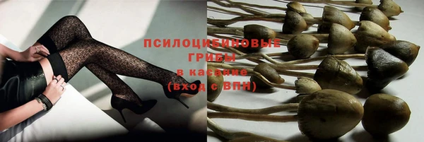 ECSTASY Алексеевка